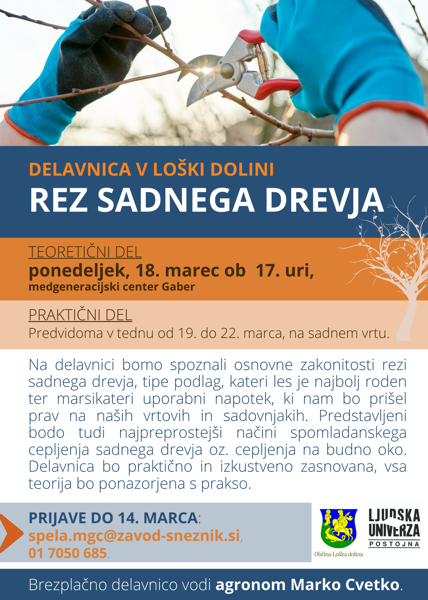 rez sadnega drevja _ loška dolina